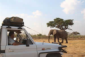 Tours in Namibia