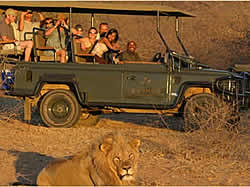 Limpopo Game Reserve Accommodation - Ka'ingo Reserve and Spa - Vaalwater Accommodation - Waterberg Game Reserves - Game Drives