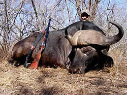 Limpopo Game Farms Mangwe Sararis - Limpopo Hunting -Limpopo Hunting safaris - Hunting Big 5 Limpopo