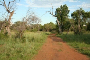 Mogwele Game Lodge - Hide Road