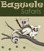 Bagwele Safaris offers Game Farm Accommodation