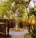 Porcupine Bush Lodge