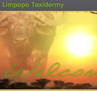 Limpopo Taxidermy