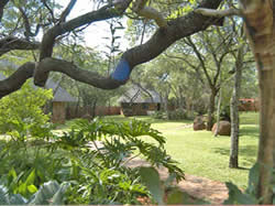 Marula Lodge thatched cottages accommodation in Mabatlane