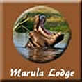 Marula Lodge