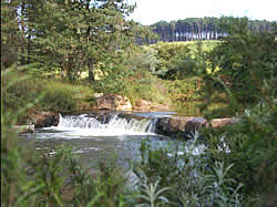 Zwakala River Retreat, Limpopo camping site is situated next to the Broederstroom River.