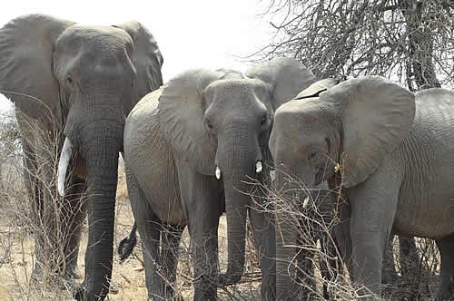 Waterberg Biosphere visits