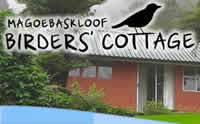  Magoebaskloof Birders Cottage self catering accommodation