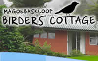 Magoebaskloof Birders Cottage self catering accommodation