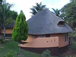 Magoebaskloof Ruskamp caravan and camping sites in Magoebaskloof, Limpopo
