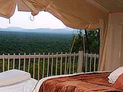 Thulani